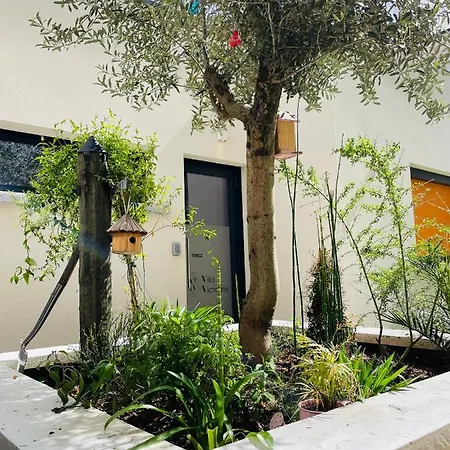 Victorine * Nogent-sur-Seine